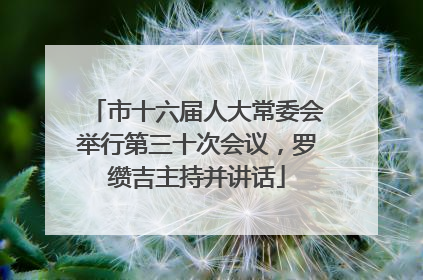 市十六届人大常委会举行第三十次会议，罗缵吉主持并讲话