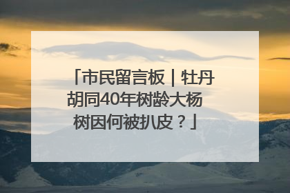 市民留言板｜牡丹胡同40年树龄大杨树因何被扒皮？