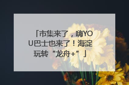 市集来了，嗨YOU巴士也来了！海淀玩转“龙舟+”