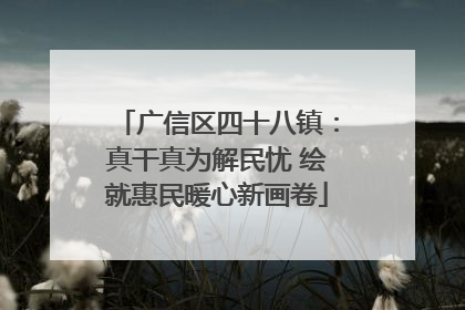 广信区四十八镇：真干真为解民忧 绘就惠民暖心新画卷