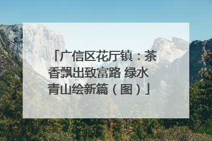 广信区花厅镇：茶香飘出致富路 绿水青山绘新篇（图）