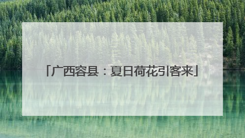广西容县：夏日荷花引客来