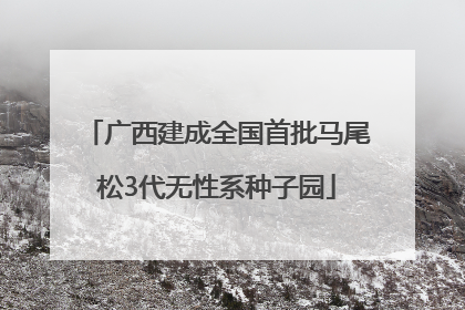 广西建成全国首批马尾松3代无性系种子园