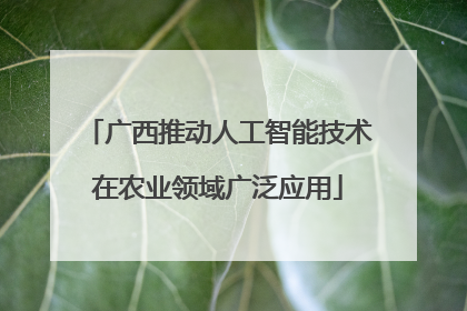 广西推动人工智能技术在农业领域广泛应用