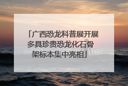 广西恐龙科普展开展 多具珍贵恐龙化石骨架标本集中亮相