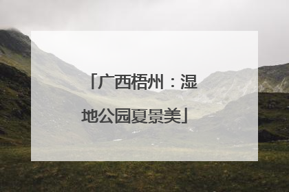 广西梧州：湿地公园夏景美