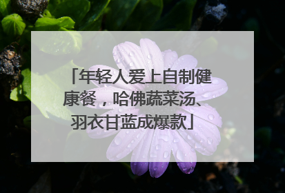 年轻人爱上自制健康餐，哈佛蔬菜汤、羽衣甘蓝成爆款