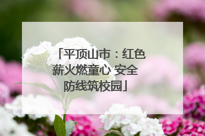 平顶山市：红色薪火燃童心 安全防线筑校园
