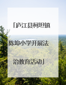庐江县柯坦镇陈埠小学开展法治教育活动