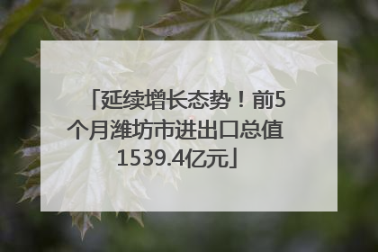 延续增长态势！前5个月潍坊市进出口总值1539.4亿元