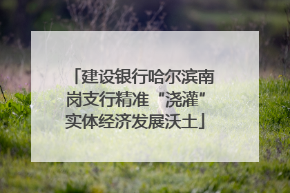建设银行哈尔滨南岗支行精准“浇灌”实体经济发展沃土