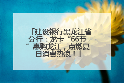 建设银行黑龙江省分行：龙卡“66节”惠购龙江，点燃夏日消费热浪！