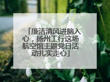 廉洁清风进脑入心，扬州工行这场航空馆主题党日活动扎实走心