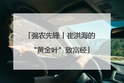 强农先锋丨崔洪海的“黄金叶”致富经