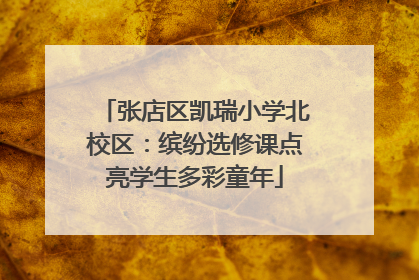 张店区凯瑞小学北校区：缤纷选修课点亮学生多彩童年