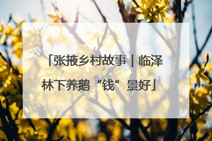 张掖乡村故事｜临泽林下养鹅“钱”景好