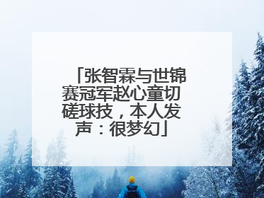 张智霖与世锦赛冠军赵心童切磋球技，本人发声：很梦幻