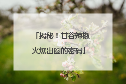 揭秘！甘谷辣椒火爆出圈的密码