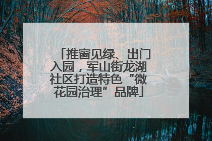 推窗见绿、出门入园，军山街龙湖社区打造特色“微花园治理”品牌