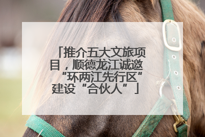 推介五大文旅项目，顺德龙江诚邀“环两江先行区”建设“合伙人”