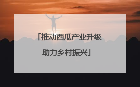 推动西瓜产业升级 助力乡村振兴