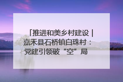 推进和美乡村建设｜嘉禾县石桥镇白珠村：党建引领破“空”局 乡贤聚力绘就新图景