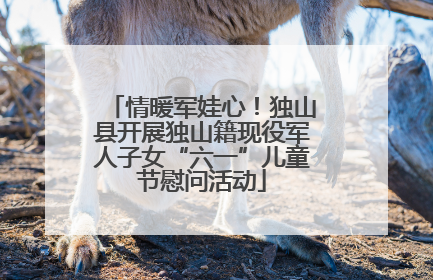 情暖军娃心！独山县开展独山籍现役军人子女“六一”儿童节慰问活动