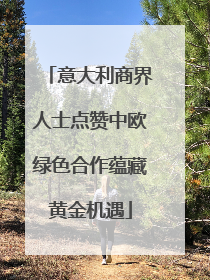意大利商界人士点赞中欧绿色合作蕴藏黄金机遇