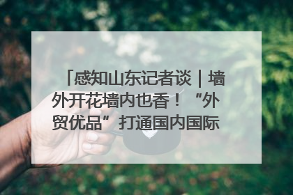 感知山东记者谈｜墙外开花墙内也香！“外贸优品”打通国内国际市场“旋转门”