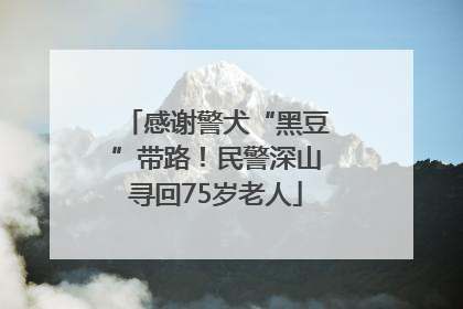 感谢警犬“黑豆”带路！民警深山寻回75岁老人