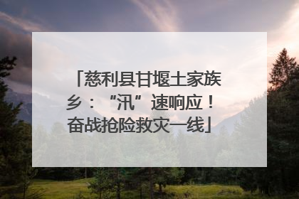慈利县甘堰土家族乡：“汛”速响应！奋战抢险救灾一线