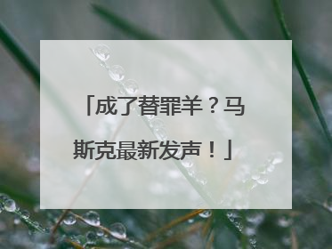 成了替罪羊？马斯克最新发声！
