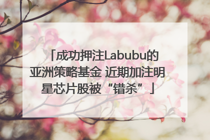 成功押注Labubu的亚洲策略基金 近期加注明星芯片股被“错杀”