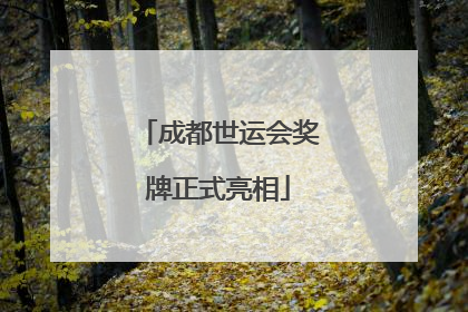 成都世运会奖牌正式亮相