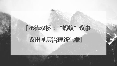承德双桥：“蚂蚁”议事 议出基层治理新气象