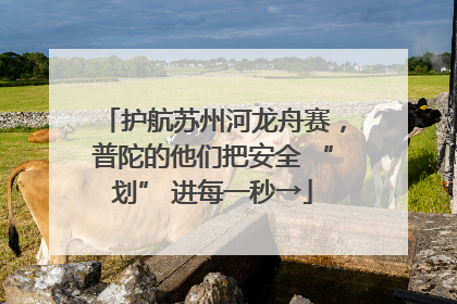 护航苏州河龙舟赛，普陀的他们把安全 “划” 进每一秒→