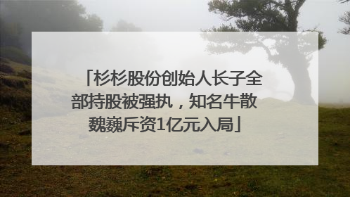 杉杉股份创始人长子全部持股被强执，知名牛散魏巍斥资1亿元入局