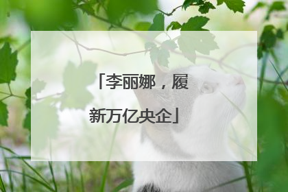 李丽娜，履新万亿央企