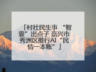 村社民生事 “智囊”出点子 嘉兴市秀洲区推行AI“民情一本账”