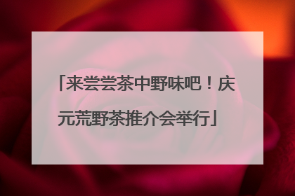 来尝尝茶中野味吧！庆元荒野茶推介会举行