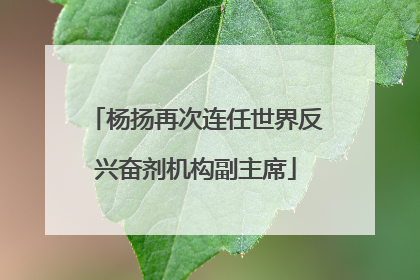 杨扬再次连任世界反兴奋剂机构副主席