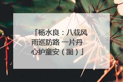 杨水良：八载风雨巡防路 一片丹心护童安（图）
