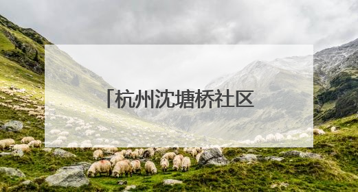 杭州沈塘桥社区举办“童心筑梦·银龄安康”老少便民服务活动