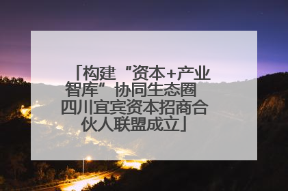 构建“资本+产业智库”协同生态圈 四川宜宾资本招商合伙人联盟成立