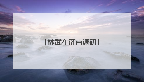 林武在济南调研
