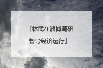林武在淄博调研督导经济运行