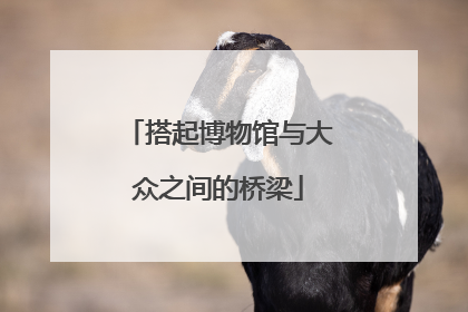 搭起博物馆与大众之间的桥梁