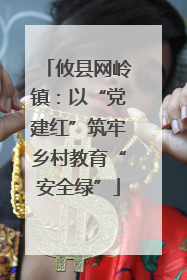 攸县网岭镇：以“党建红”筑牢乡村教育“安全绿”