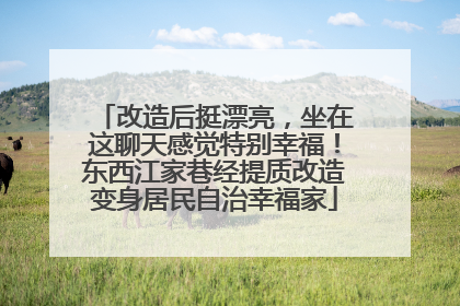 改造后挺漂亮，坐在这聊天感觉特别幸福！东西江家巷经提质改造变身居民自治幸福家