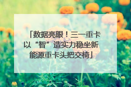数据亮眼！三一重卡以“智”造实力稳坐新能源重卡头把交椅